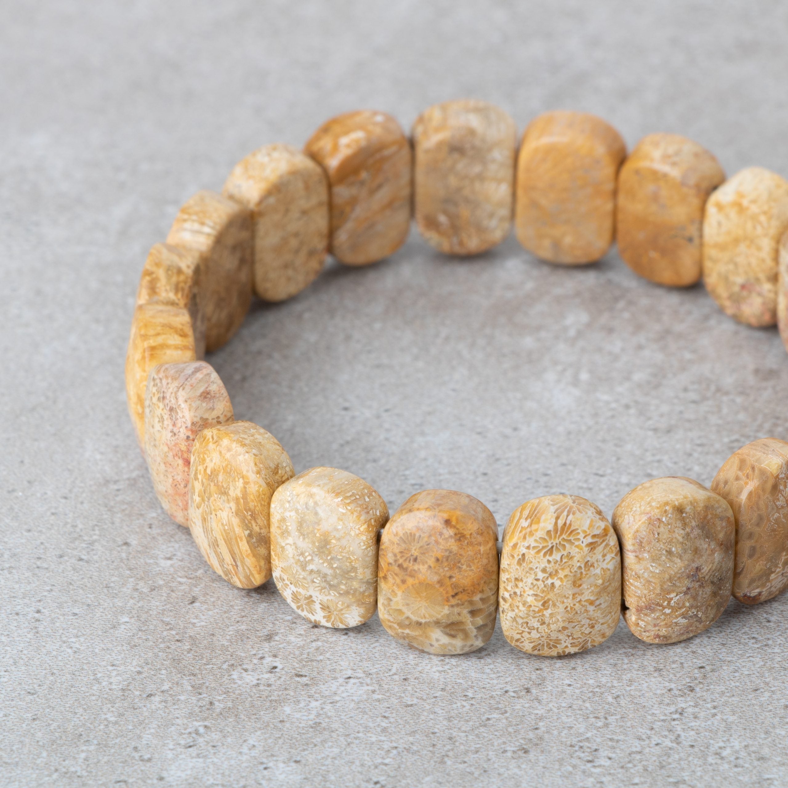 Certified Fossil Coral Wide Cut Natural Gemstone Bracelet
